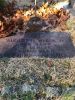 August H Weber Jr.