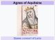 agnes of Aquataine